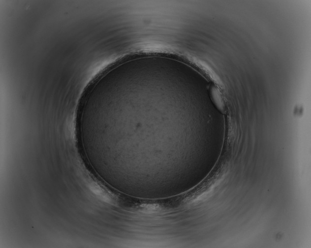 X0000101440391200807141312