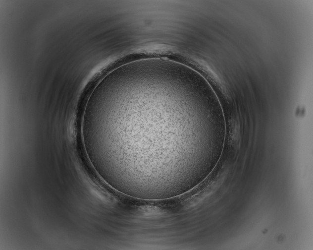 X0000101440392200807141311