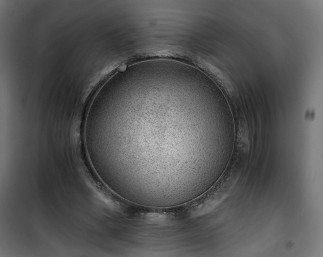 X0000101440394200807141311