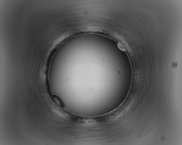 X0000101440395200807141311