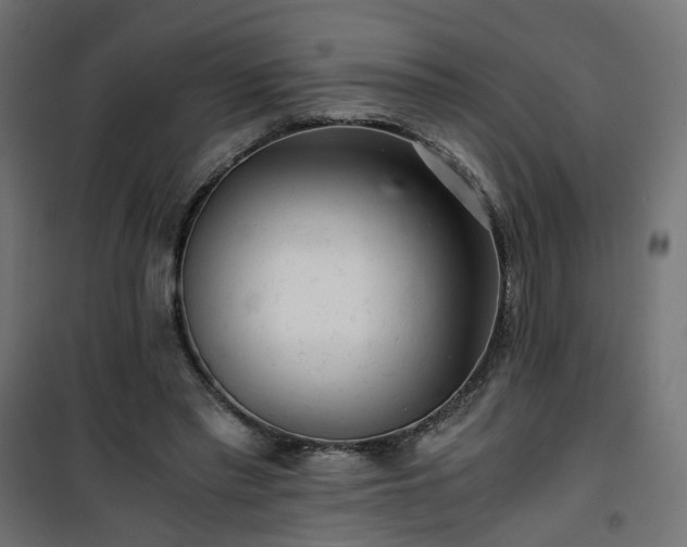 X0000101440397200807141311