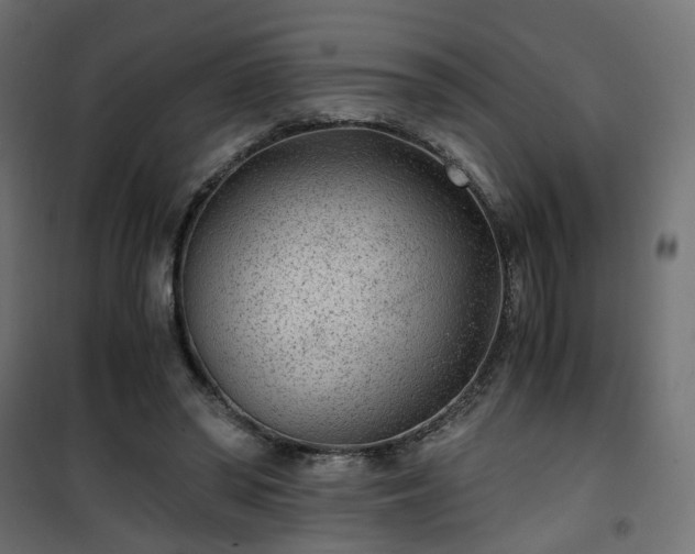 X0000101440398200807141311