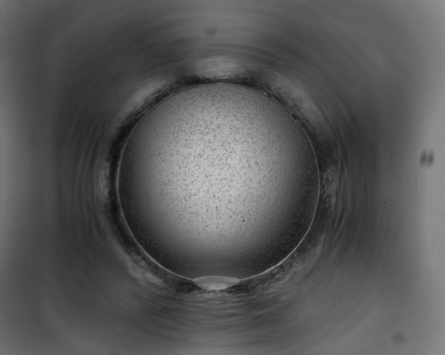 X0000101440400200807141311