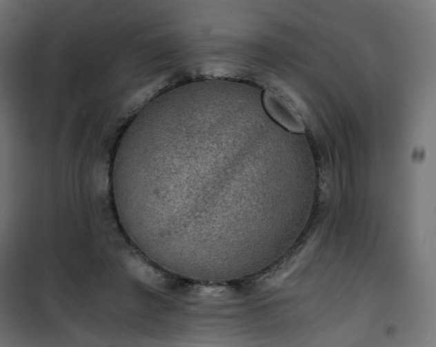 X0000101440401200807141311