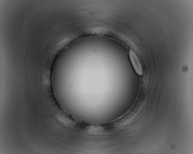 X0000101440403200807141311