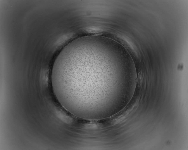 X0000101440404200807141311