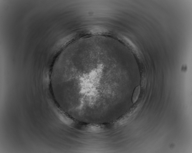 X0000101440405200807141311