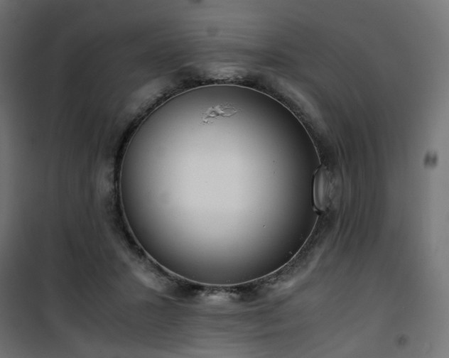 X0000101440407200807141311