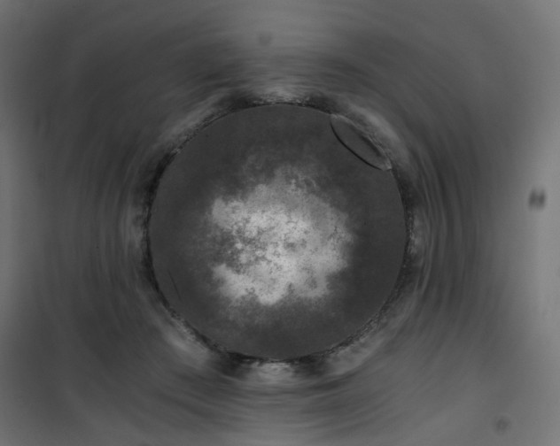 X0000101440409200807141311