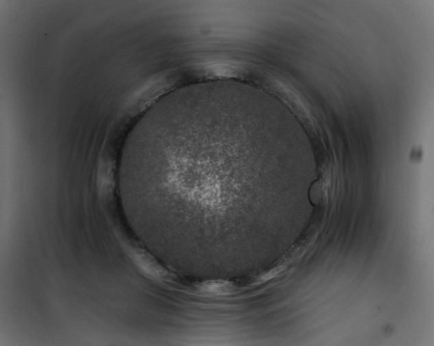 X0000101440410200807141311