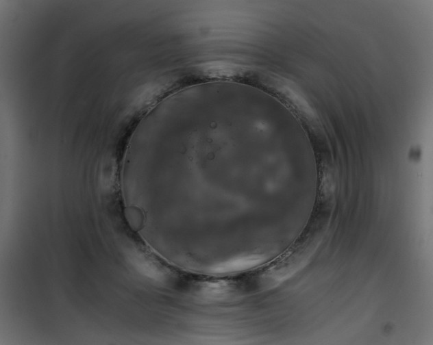 X0000101440411200807141311