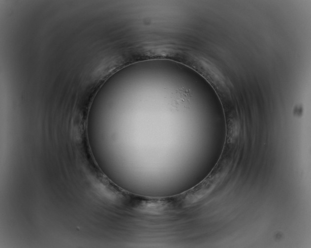 X0000101440414200807141311