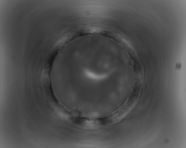 X0000101440415200807141311