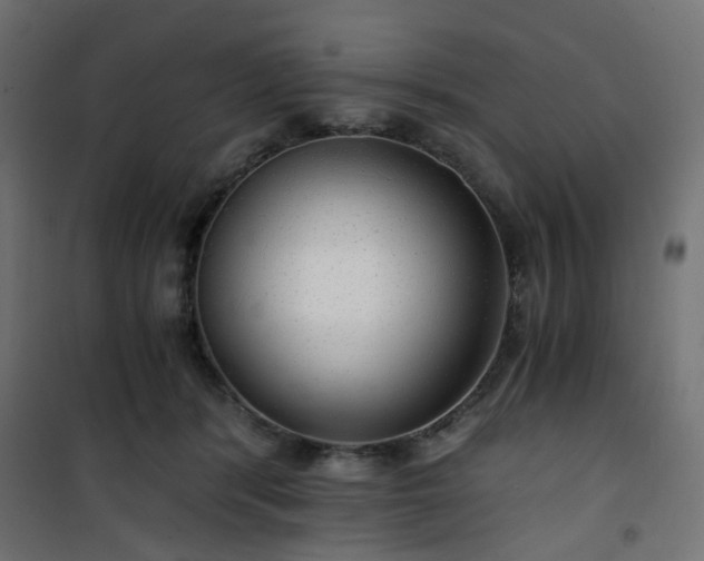 X0000101440416200807141311