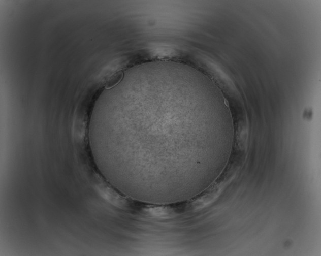 X0000101440417200807141311