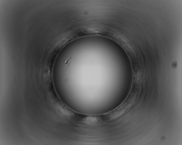 X0000101440418200807141311