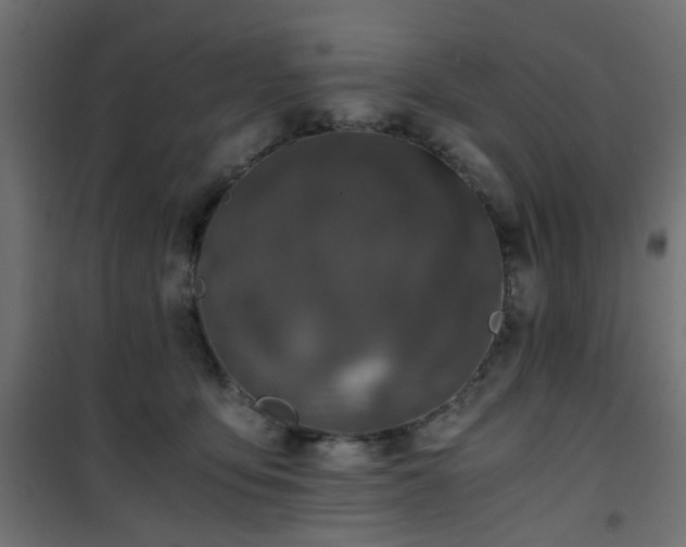 X0000101440419200807141311