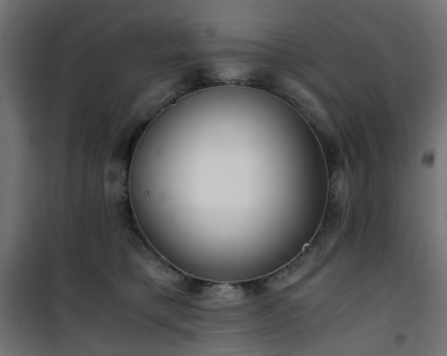 X0000101440421200807141311