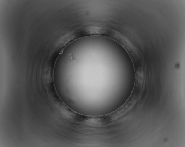 X0000101440422200807141311