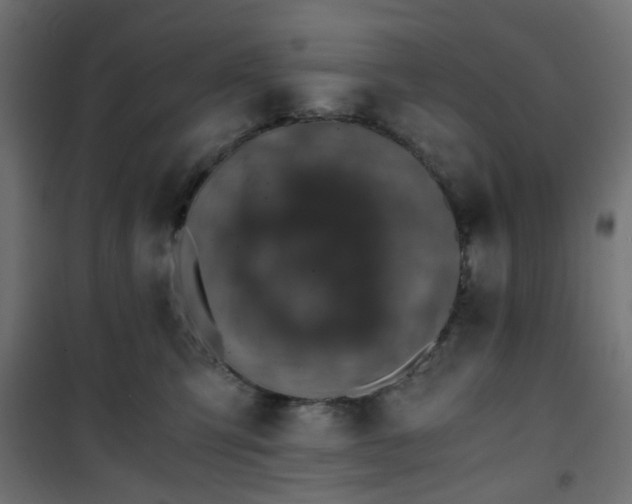 X0000101440423200807141311