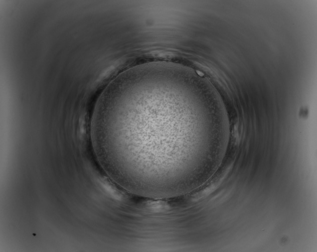 X0000101440424200807141311