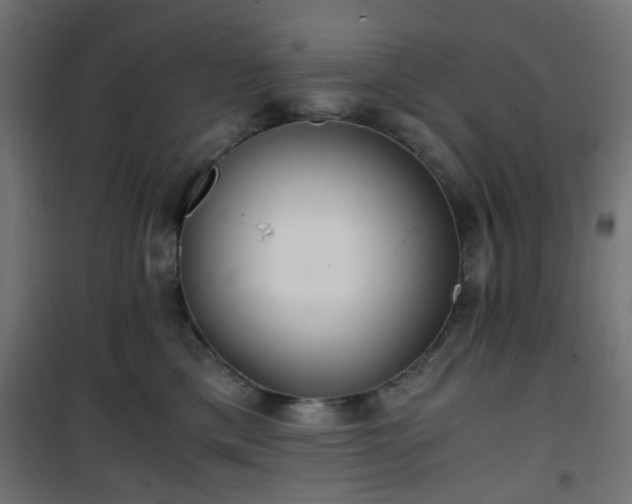 X0000101440425200807141311