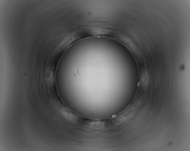 X0000101440426200807141311