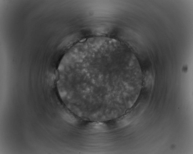 X0000101440427200807141311