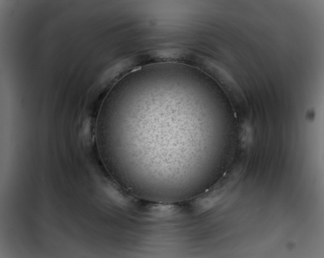 X0000101440428200807141311