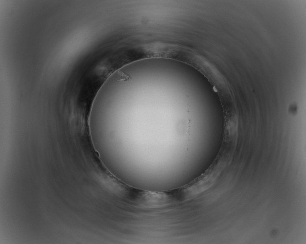 X0000101440429200807141311