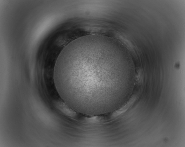 X0000101440430200807141311