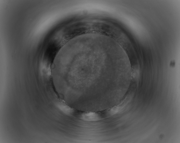 X0000101440431200807141311