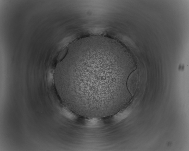 X0000101440432200807141311