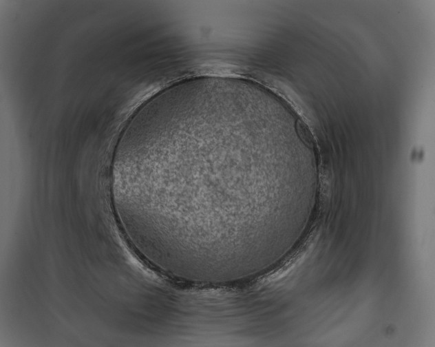 X0000101440433200807141310