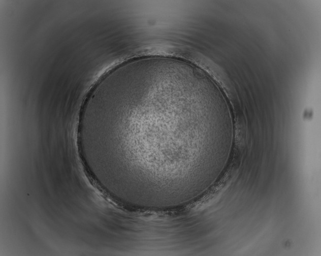 X0000101440434200807141310