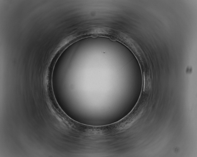 X0000101440435200807141310