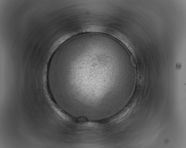 X0000101440437200807141310