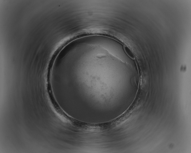 X0000101440438200807141310