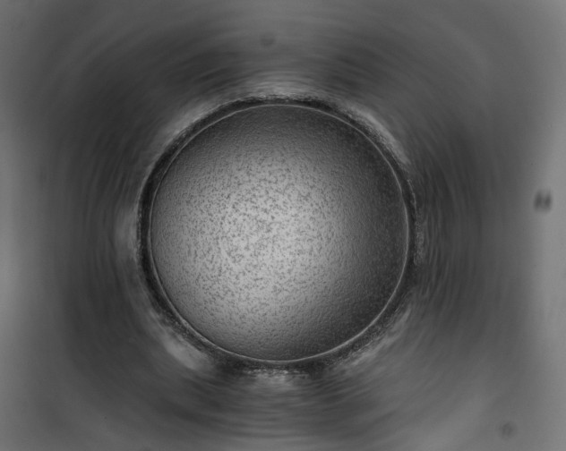 X0000101440439200807141310