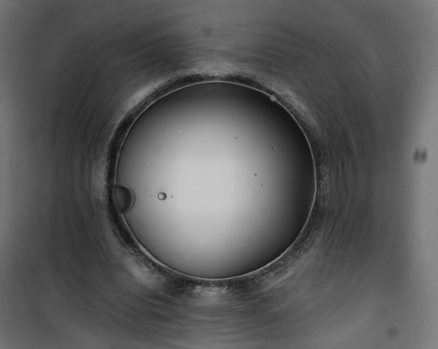 X0000101440440200807141310