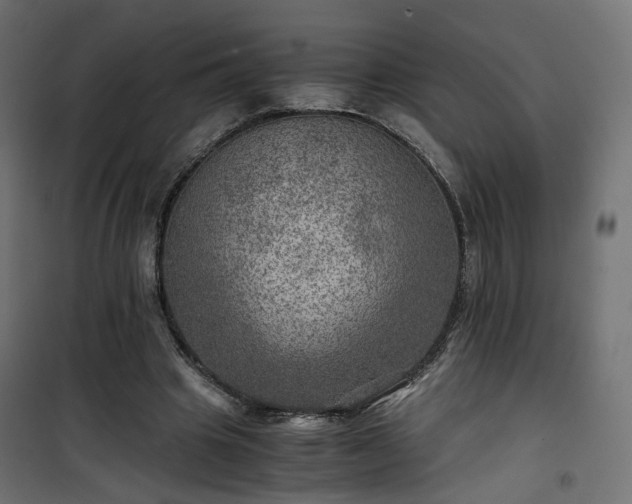 X0000101440441200807141310