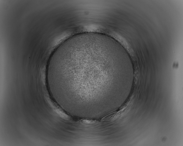 X0000101440442200807141310