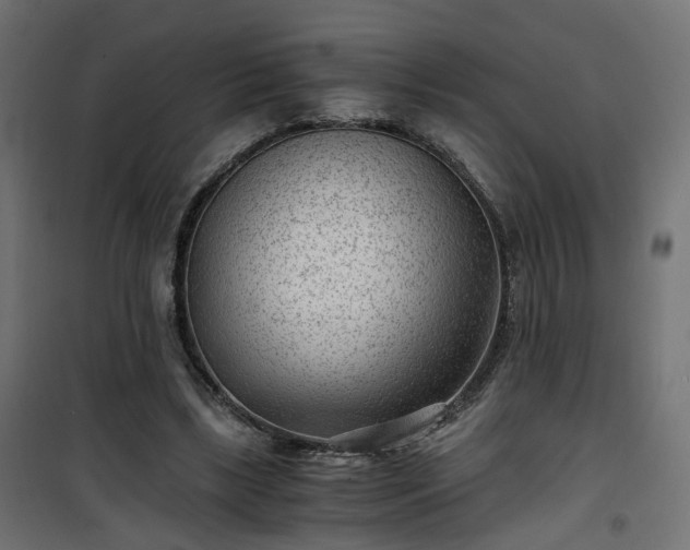 X0000101440443200807141310