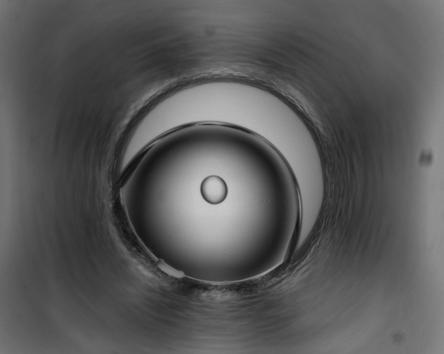 X0000101440444200807141310