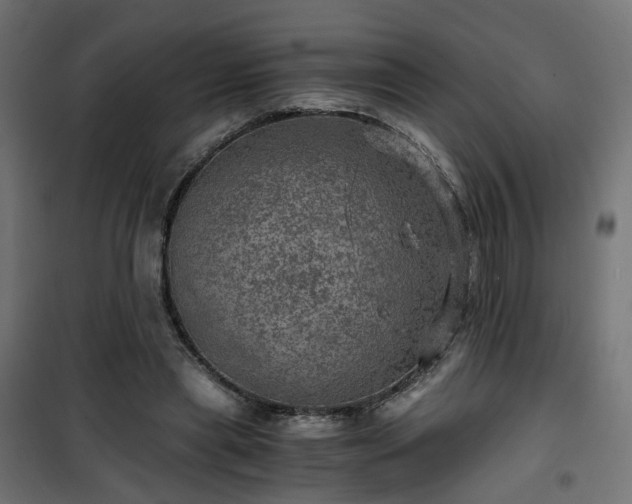 X0000101440445200807141310