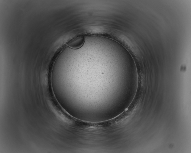 X0000101440447200807141310