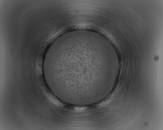 X0000101440450200807141310