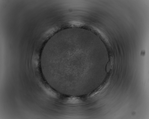 X0000101440451200807141310