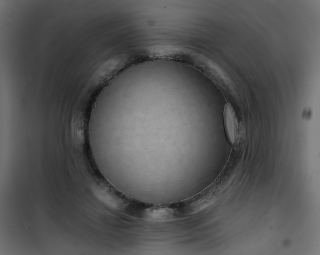 X0000101440452200807141310