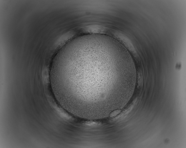 X0000101440453200807141310